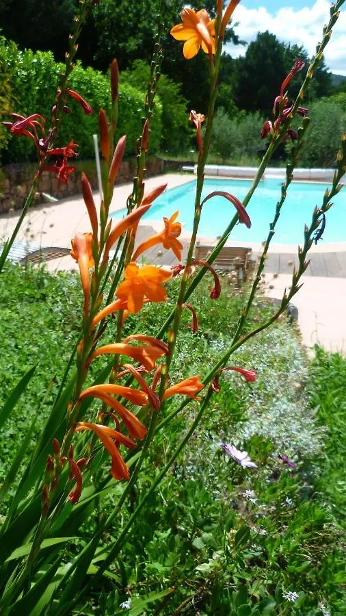 Bed & Breakfast Bed And Breakfast La Maison De Nathalie Les Mayons